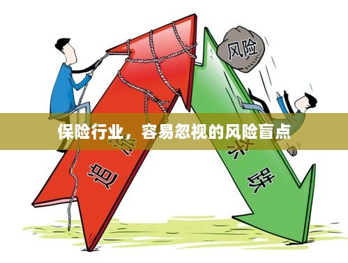 保险行业中的风险盲点揭秘-图1 保险行业中的风险盲点揭秘-图1