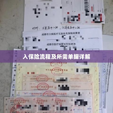 保险投保流程与所需单据全面解析-图1 保险投保流程与所需单据全面解析-图1