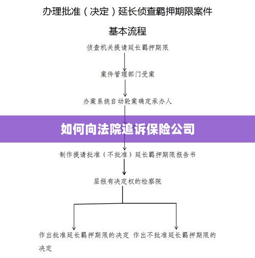 保险公司追诉指南，如何向法院提起诉讼索赔-图1