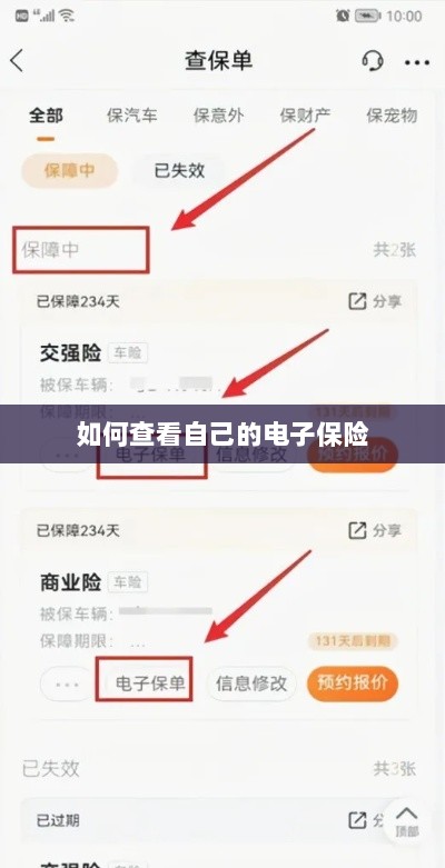 如何查看个人电子保险保单详情-图1