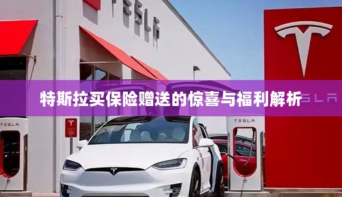 特斯拉保险赠品福利大解析,惊喜与优惠一网打尽!-图1 特斯拉保险赠品福利大解析,惊喜与优惠一网打尽!-图1