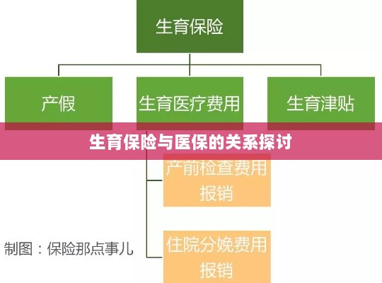 生育保险与医保关系深度探讨,融合与协同发展的视角-图1 生育保险与医保关系深度探讨,融合与协同发展的视角-图1