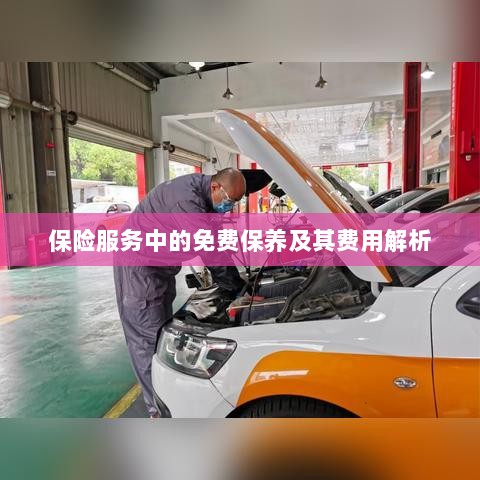 保险服务中的免费保养费用解析与指南-图1 保险服务中的免费保养费用解析与指南-图1