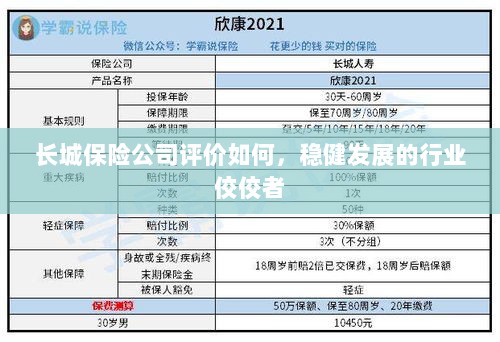 长城保险公司评价积极，行业稳健发展的佼佼者-图1
