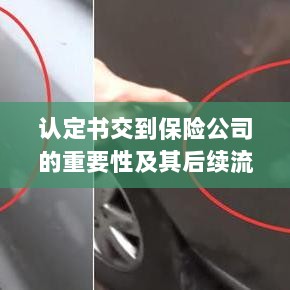 认定书对保险公司的重要性及后续流程详解-图1 认定书对保险公司的重要性及后续流程详解-图1