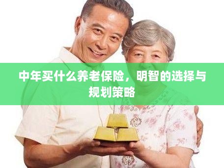 中年明智之选,养老保险的规划与策略-图1 中年明智之选,养老保险的规划与策略-图1