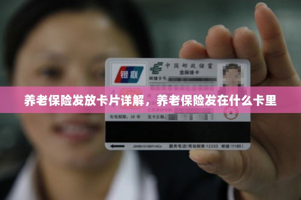 养老保险发放卡片详解,卡片类型与发放流程-图1 养老保险发放卡片详解,卡片类型与发放流程-图1