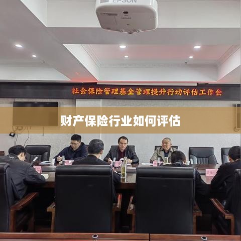 财产保险行业评估方法与策略解析-图1 财产保险行业评估方法与策略解析-图1