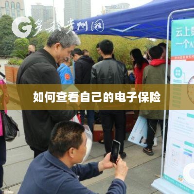 如何查看个人电子保险保单详情-图1 如何查看个人电子保险保单详情-图1