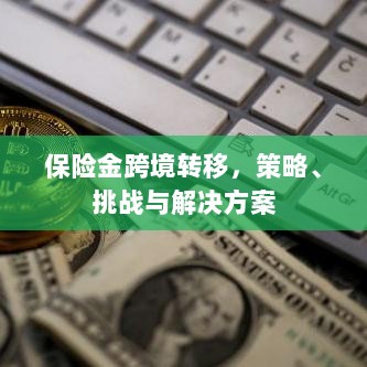 保险金跨境转移，策略、挑战及解决方案探讨-图1