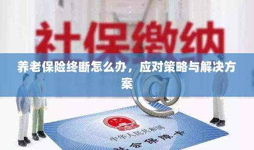 养老保险中断应对指南，解决方案与策略-图1
