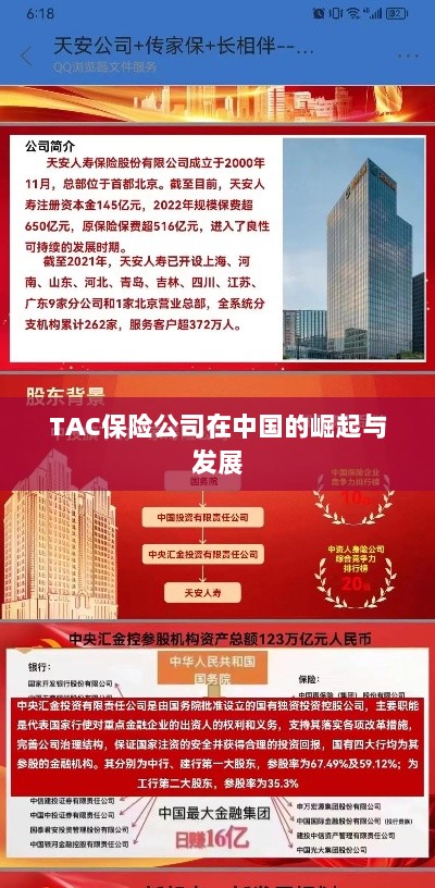 TAC保险公司在中国的崛起与蓬勃发展之路-图1 TAC保险公司在中国的崛起与蓬勃发展之路-图1