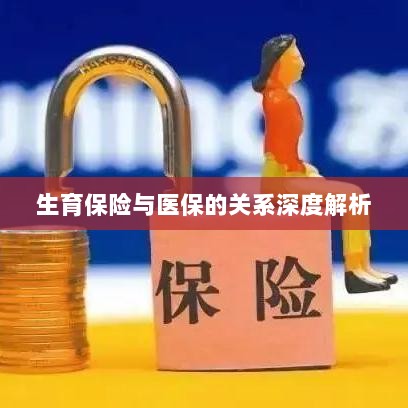 生育保险与医保关系的深度探讨-图1 生育保险与医保关系的深度探讨-图1