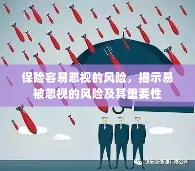 易被忽视的风险,保险领域中的风险揭示及其重要性-图1 易被忽视的风险,保险领域中的风险揭示及其重要性-图1