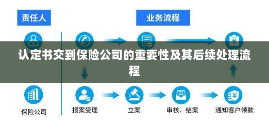 认定书对保险公司的重要性及后续处理流程详解-图1 认定书对保险公司的重要性及后续处理流程详解-图1