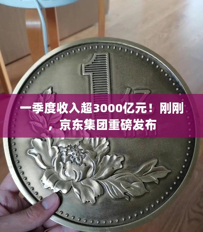 京东集团一季度收入突破3000亿元大关重磅发布-图1