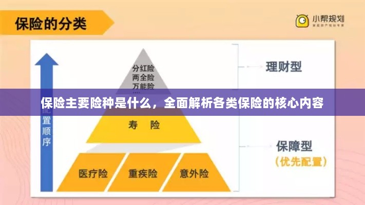 全面解析，保险主要险种及其核心内容-图1