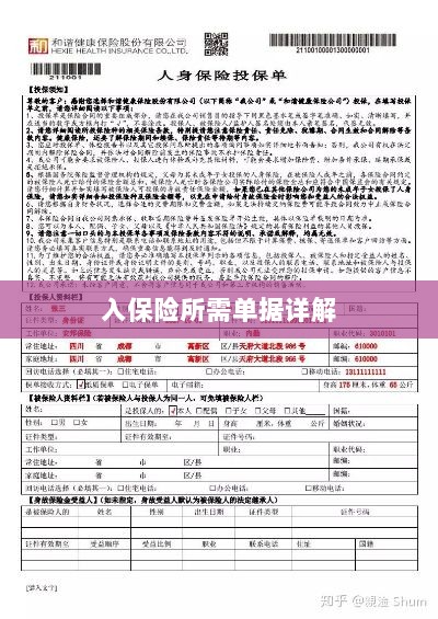 入保险必备单据解析-图1