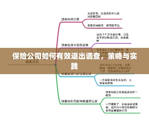 保险公司有效退出调查的策略与实践探讨-图1