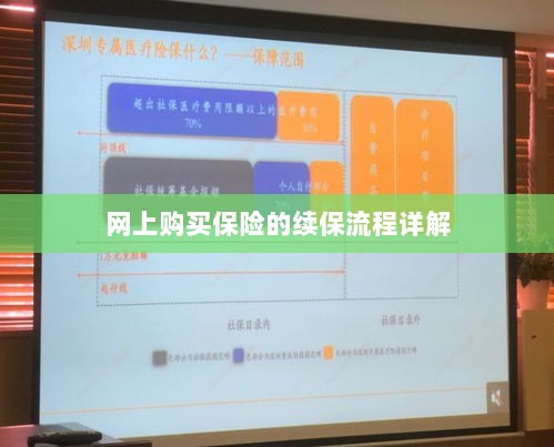 网上保险续保流程详解-图1