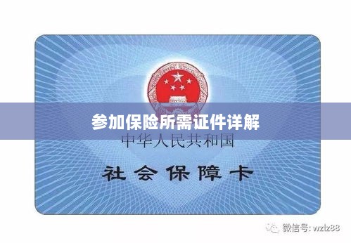 保险参保所需证件详解-图1
