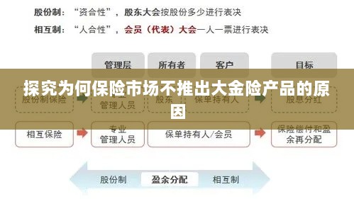 探究保险市场未推出大金险产品的原因分析-图1 探究保险市场未推出大金险产品的原因分析-图1