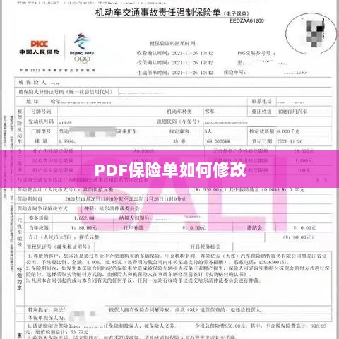 PDF保险单修改指南-图1