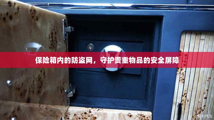 保险箱内防盗网,守护贵重物品的安全卫士-图1 保险箱内防盗网,守护贵重物品的安全卫士-图1