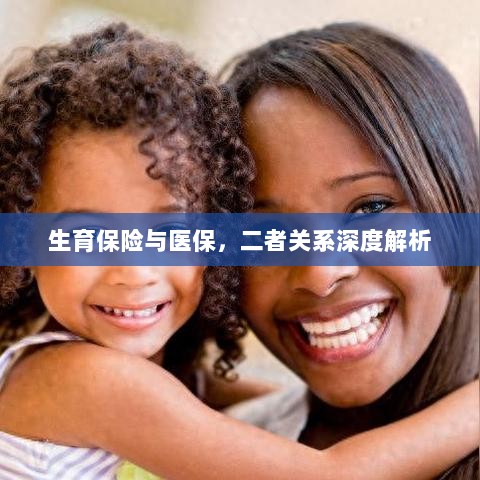 生育保险与医保的关系深度探讨与解析-图1