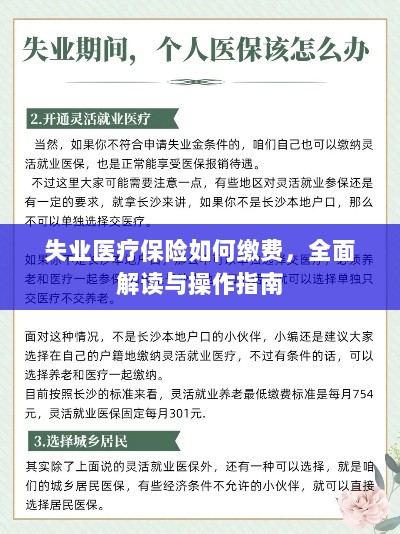 失业医疗保险缴费详解,全面解读与操作指南-图1 失业医疗保险缴费详解,全面解读与操作指南-图1