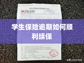 学生保险逾期续保攻略，顺利过渡无忧保障-图1