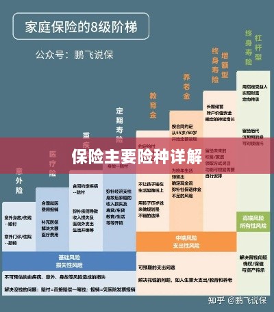 保险主要险种详解概览-图1 保险主要险种详解概览-图1
