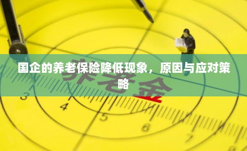 国企养老保险降低现象,原因探究与应对策略-图1 国企养老保险降低现象,原因探究与应对策略-图1