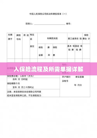 保险投保流程与所需单据全面解析-图1 保险投保流程与所需单据全面解析-图1