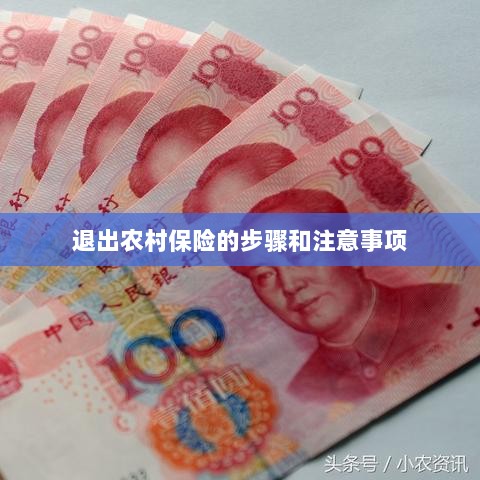 退出农村保险的步骤及注意事项详解-图1 退出农村保险的步骤及注意事项详解-图1