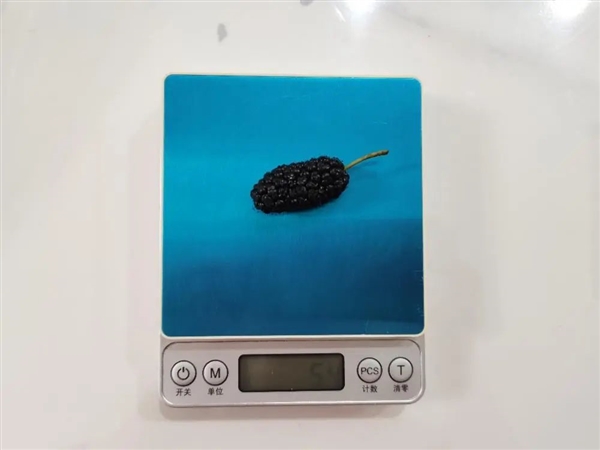当下时节,富含4倍维生素C的保健水果正当季,一口爆汁的最佳享受-图1 当下时节,富含4倍维生素C的保健水果正当季,一口爆汁的最佳享受-图1