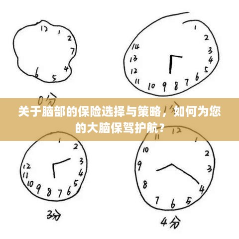 如何选择合适的脑部保险,为您的大脑保驾护航?-图1 如何选择合适的脑部保险,为您的大脑保驾护航?-图1