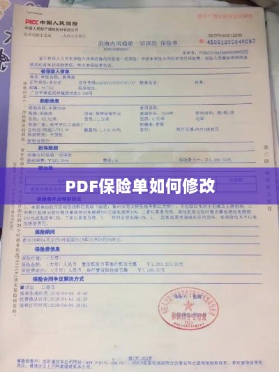 PDF保险单修改指南-图1