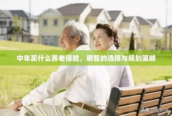 中年明智之选,养老保险的规划与策略-图1 中年明智之选,养老保险的规划与策略-图1