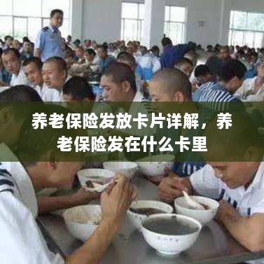 养老保险发放卡片详解,卡片类型与发放流程-图1 养老保险发放卡片详解,卡片类型与发放流程-图1