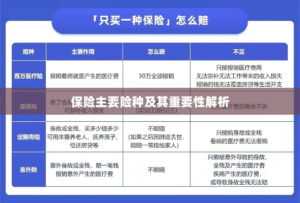 保险主要险种及其重要性深度解析-图1