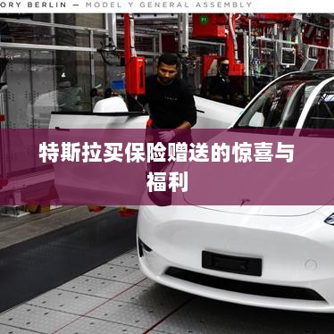 特斯拉保险购买赠品与惊喜福利概述-图1 特斯拉保险购买赠品与惊喜福利概述-图1