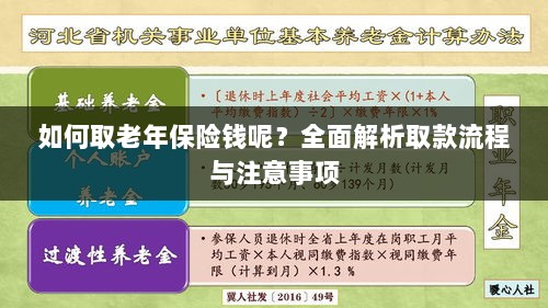 全面解析，老年保险取款流程与注意事项指南-图1