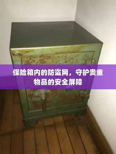 保险箱内防盗网,守护贵重物品的安全卫士-图1 保险箱内防盗网,守护贵重物品的安全卫士-图1