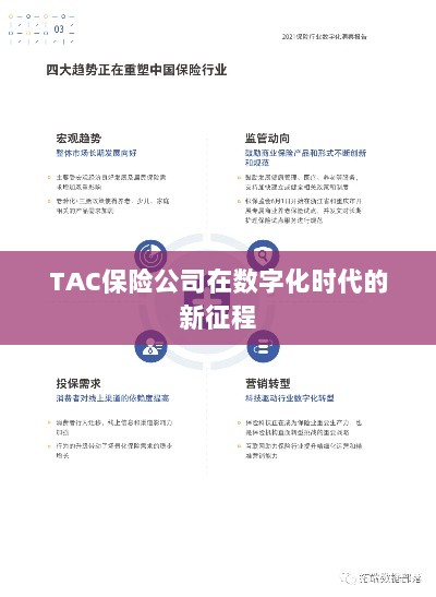 TAC保险公司在数字化时代的新征程启航-图1 TAC保险公司在数字化时代的新征程启航-图1
