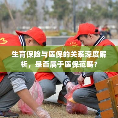生育保险与医保深度关联解析，究竟是否属于医保范畴？-图1