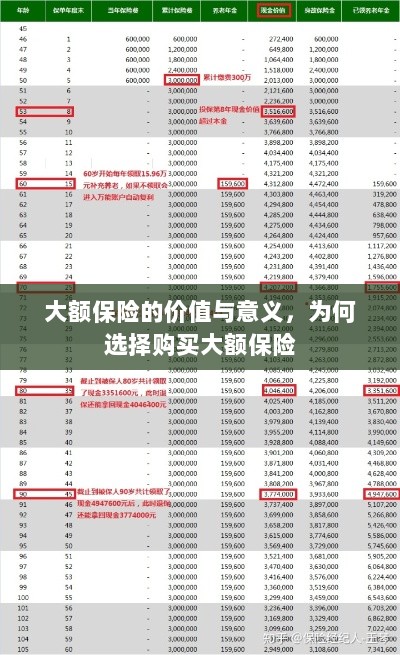 大额保险的价值与意义,为何选择购买及其重要性-图1 大额保险的价值与意义,为何选择购买及其重要性-图1