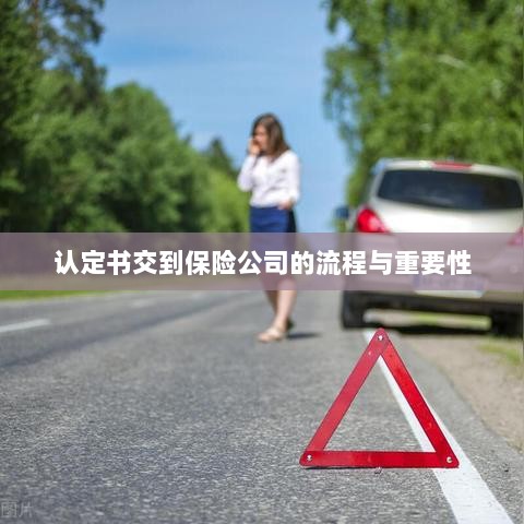 认定书交到保险公司的流程及其重要性概述-图1 认定书交到保险公司的流程及其重要性概述-图1