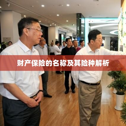 财产保险名称及险种深度解析-图1 财产保险名称及险种深度解析-图1