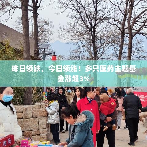 昨日领跌今日逆袭，医药主题基金涨幅超3%！-图1